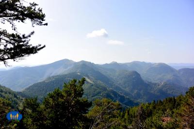 La Toussière - Montagnes boisées en plus basse altitude.
