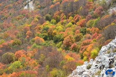 Rochers de Chironne - Feuillages d'automne.