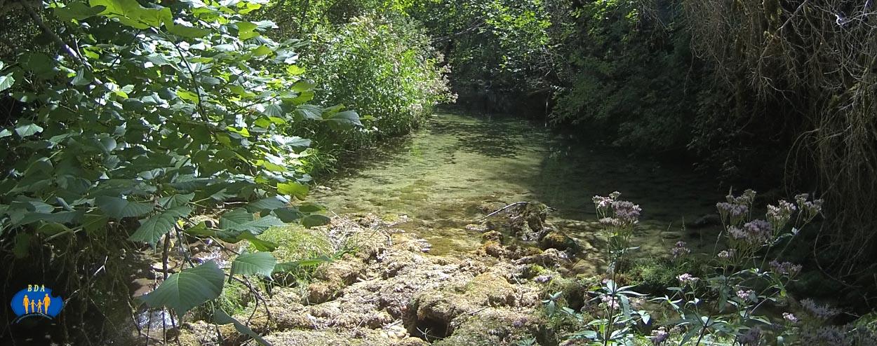 Ce très joli ruisseau d'Aucelon.